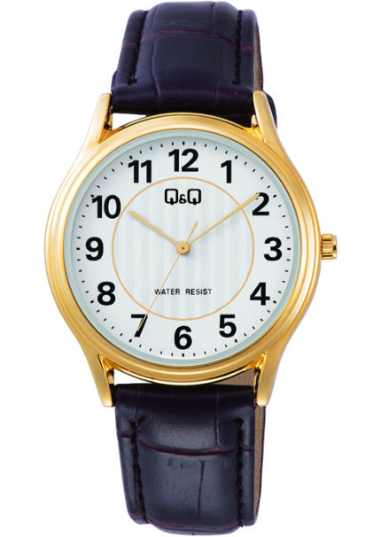 Q & Q MENS WATCH C48A-003PY