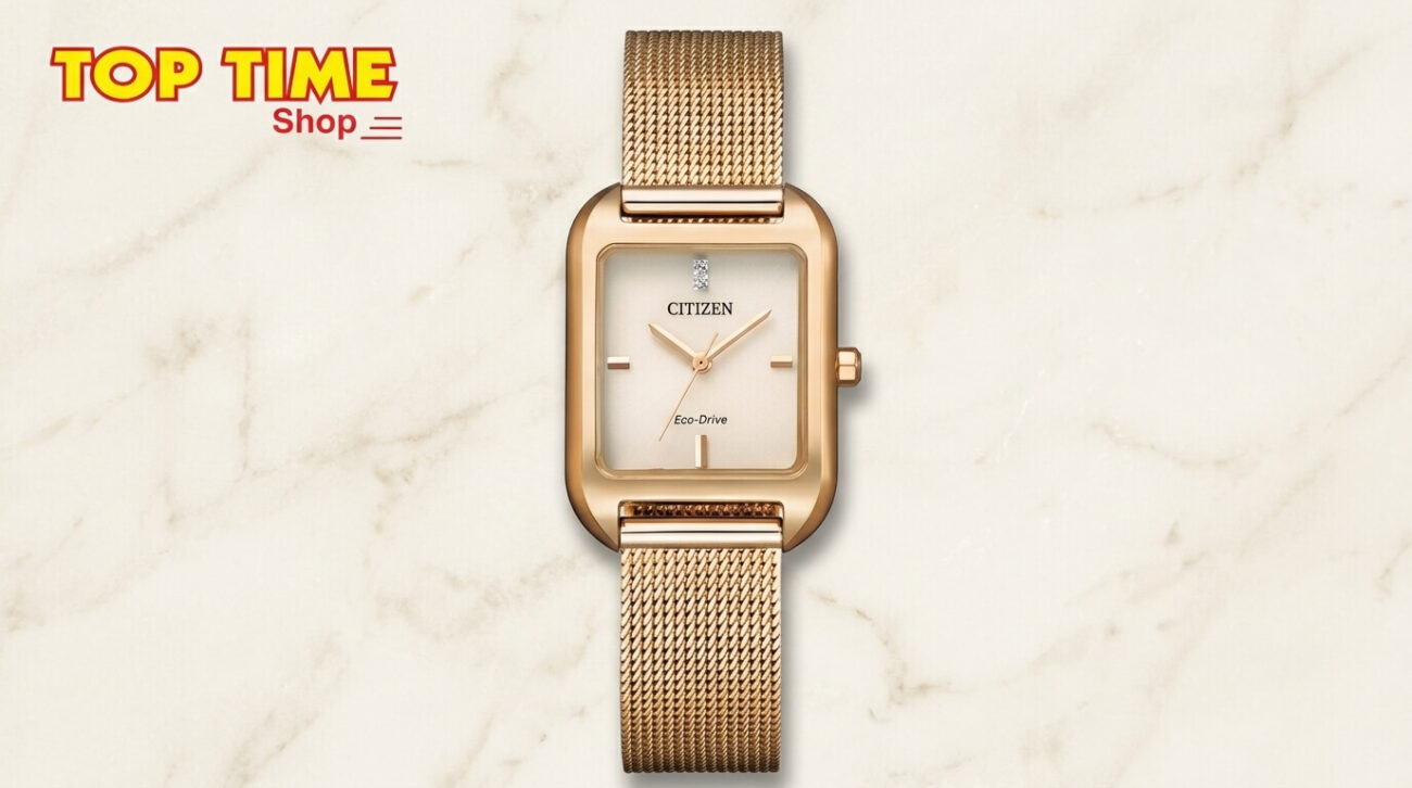 Citizen Eco-Drive watch with steel case and solar dial