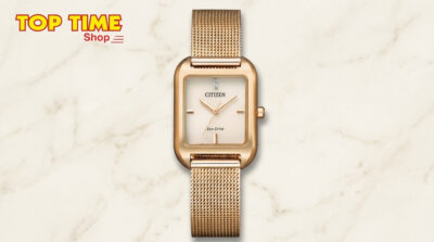 Citizen Eco-Drive watch with steel case and solar dial