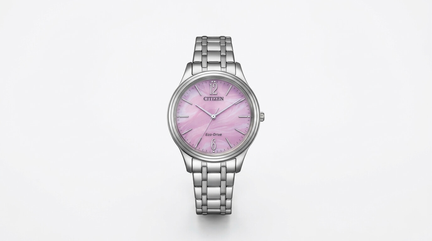 Citizen Eco-Drive watch with steel case and solar dial